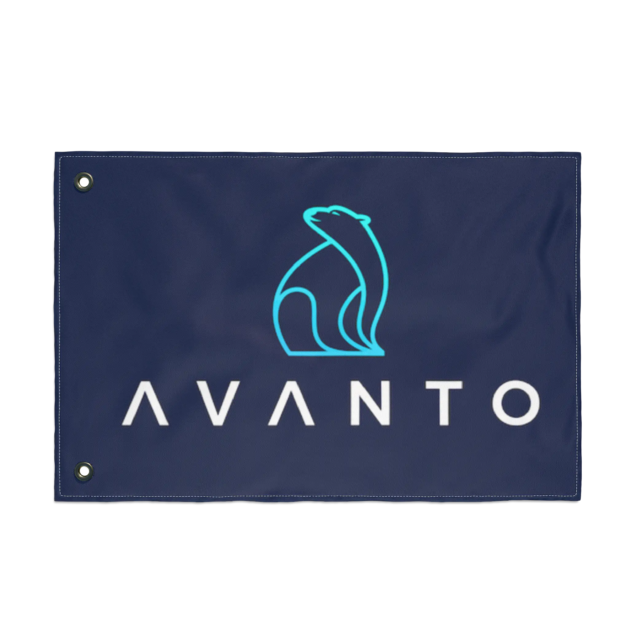 Garage Flag Avanto Cold Plunges