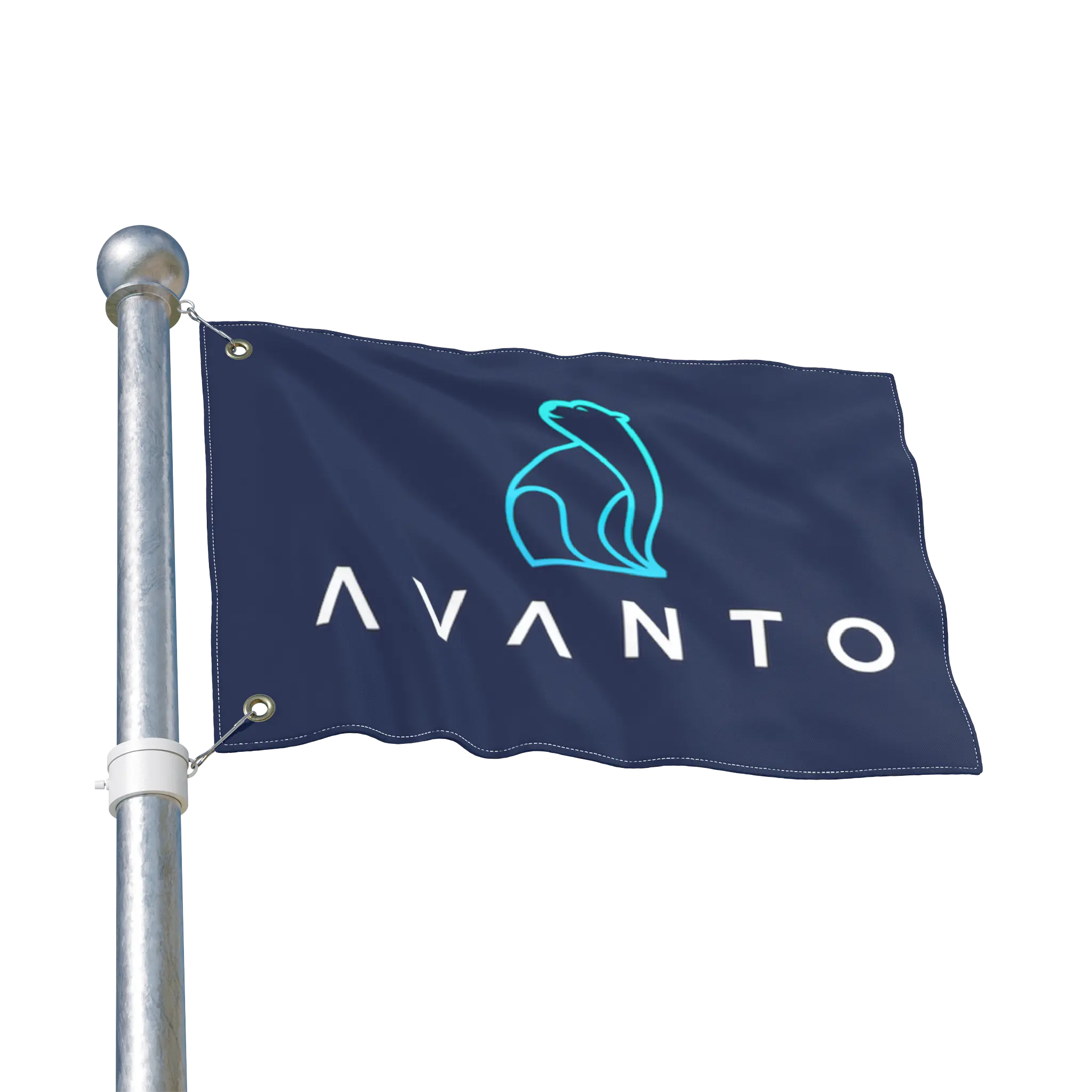 Garage Flag Avanto Cold Plunges